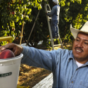 Contentious Calif. Ag Overtime Bill Signed into Law