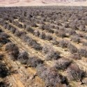 Valley Farmers Get Zero Water Allocation from Feds
