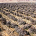 Calif. DWR Drafts Groundwater Regulations