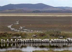 Australia drought