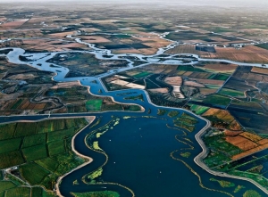 Sac Delta