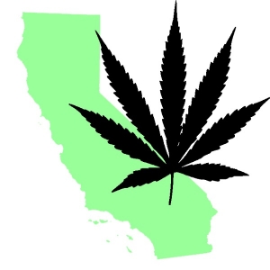 california-marijuana6