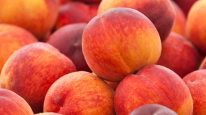 Fresh Peaches