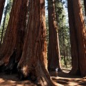 Public Asked To Weigh In On Corporate Sponsorship At All National Parks