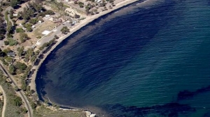 oil spill