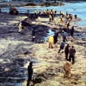Fed Inaction Blamed for Santa Barbara Oil Spill