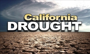 Calif Drought LOGO