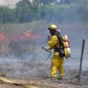 15 Acre Vegetation Fire Near Kings River Gun Club