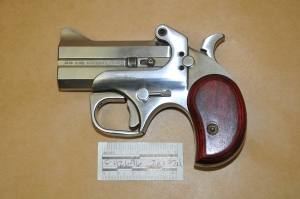 gun
