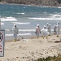 Santa Barbara Oil Spill Cleanup Nearly Complete