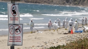 oil spill cleanup