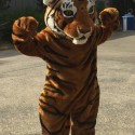 Fresno Chaffee Zoo Welcomes “Taman” New Tiger Mascot