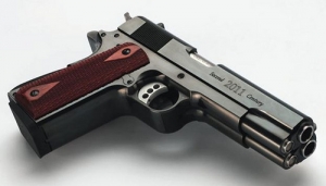 GUN