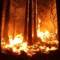 CA Wildfire Prevention Money Sits Untouched