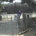 VIDEO: Two Suspects Sought After Orange Cove Burglary