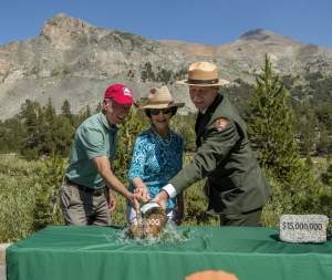 Tioga Road_01