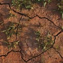 Drought Resistant Turf Rebates Coming To Clovis