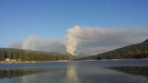 willow fire