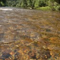Heat Shuts Merced River to Angling