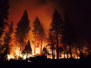 rough fire - sanger fire dept