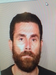 BURGLAR ARREST