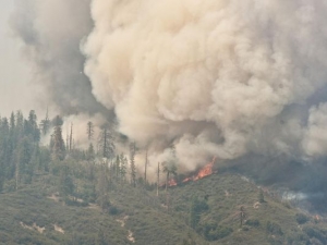 ROUGH FIRE