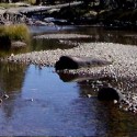 Calif. Fines Water Bottling Company for Illegal Diversions