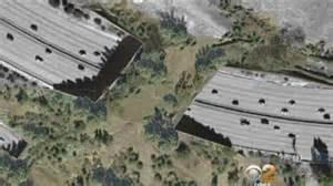 caltrans wildlife bridge
