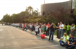 crowd