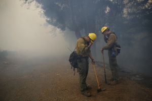 firefighters napa AP
