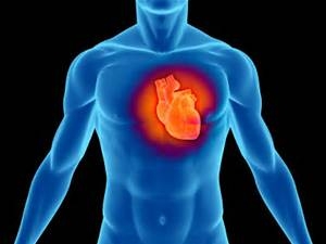 heart