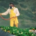 Pesticide Poisoning in Kern County
