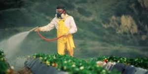 pesticide