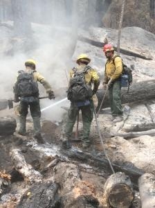 rough fire wed