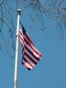 FLAG AT fsu ROSE GARDEN