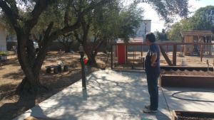 GARDEN2