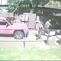 Home Thieves Caught On Camera