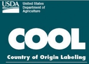 cool-300x217