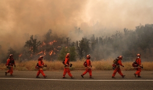 <> on August 2, 2015 in Clearlake, California.
