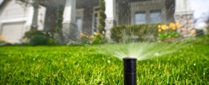 lawn watering