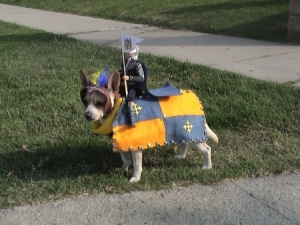 pet parade