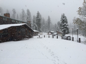 CHINA PEAK SNOW