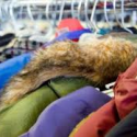 Fresno Police Chaplains Receive Coat Donations