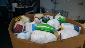 Poverello turkeys