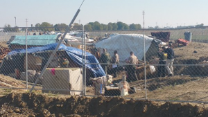 camp2