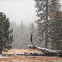 Winter Storm Warning In the Sierra