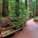 49 Free State Parks on Black Friday