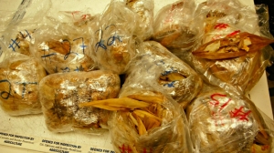 tamales