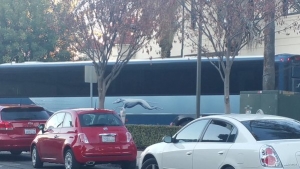 Greyhound Station