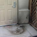 Tracy Mosque Damaged In Hate Crime